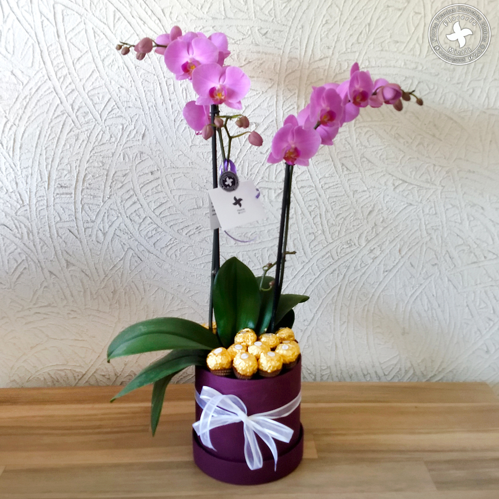 Diseños con orquídeas